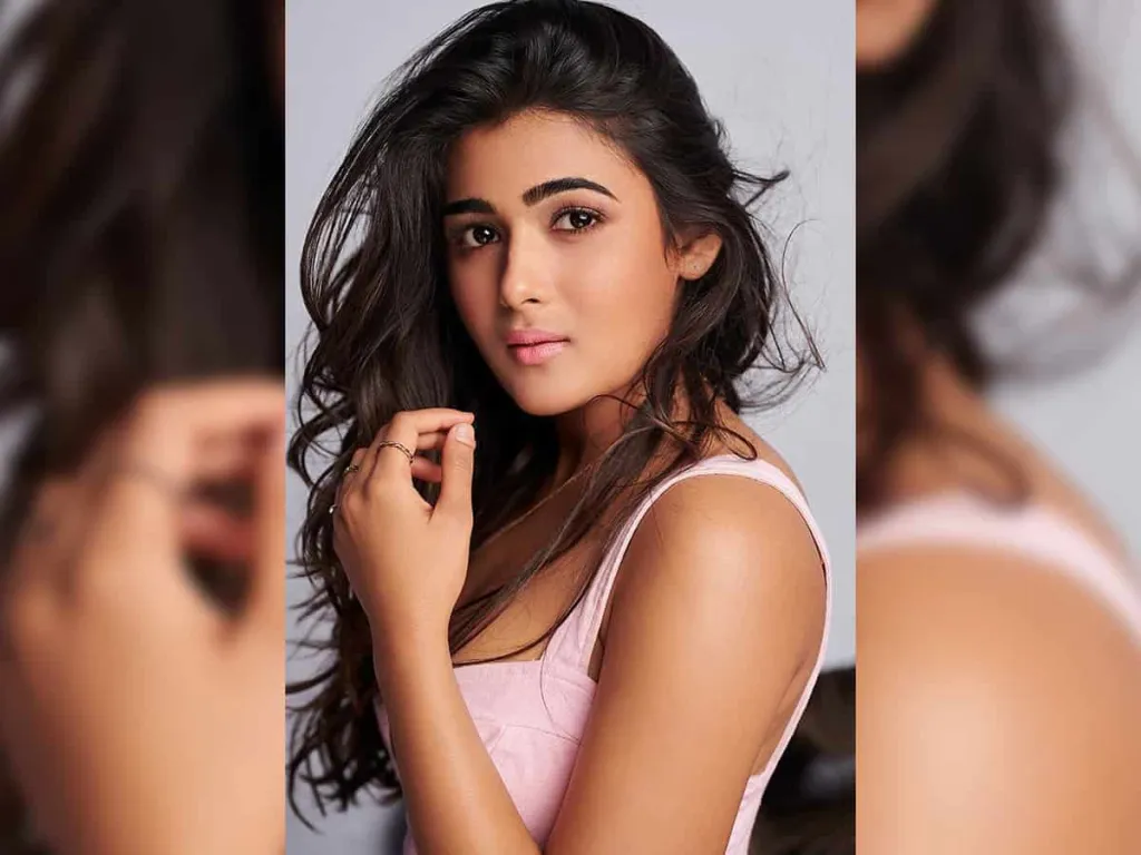 ‘Lot of people have called my big-screen debut a bold choice because I’m pregnant in the film!’: Shalini Pandey