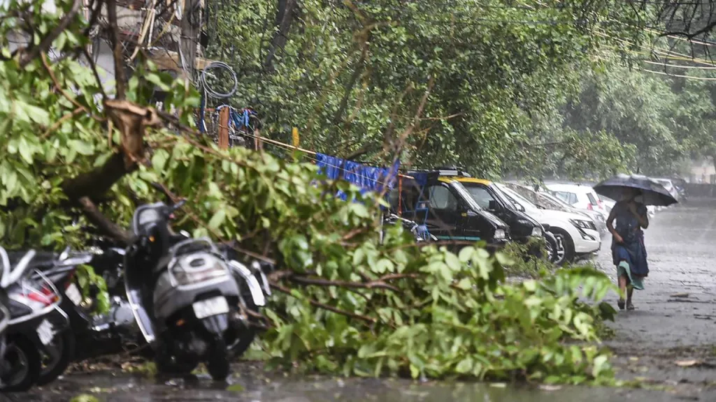 Delhi's heavy Rains leads to 2  deaths and many trees uproot Jama Majid's Dome Damage